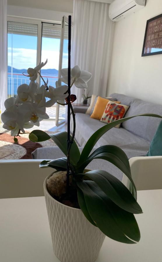 Mimoza'S Sea View Apartment PalaiónTsiflíkion Exteriér fotografie
