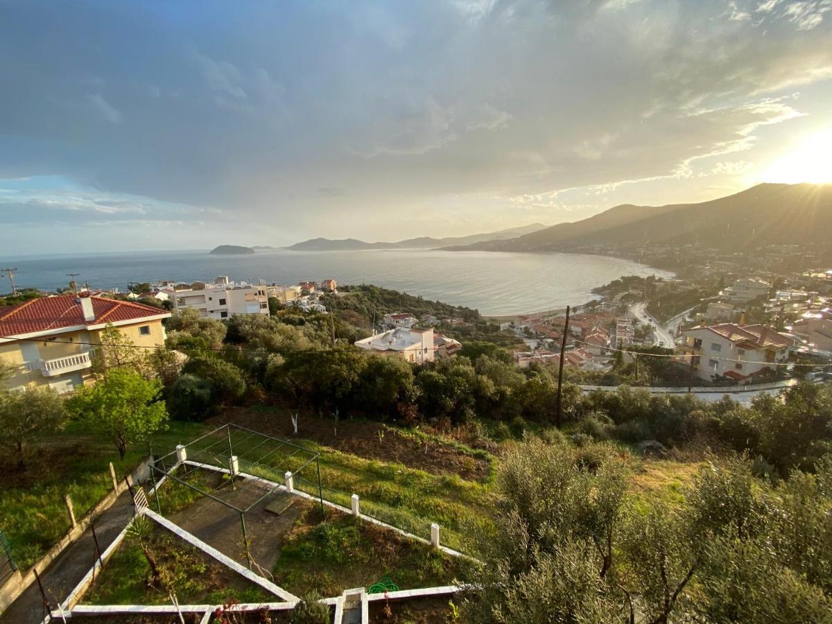 Mimoza'S Sea View Apartment PalaiónTsiflíkion Exteriér fotografie